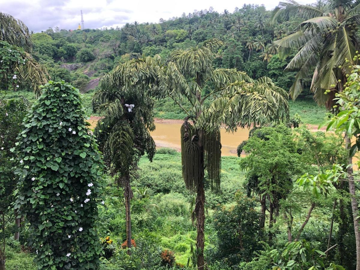 Kandy Rivers Edge Nature Resort Kültér fotó