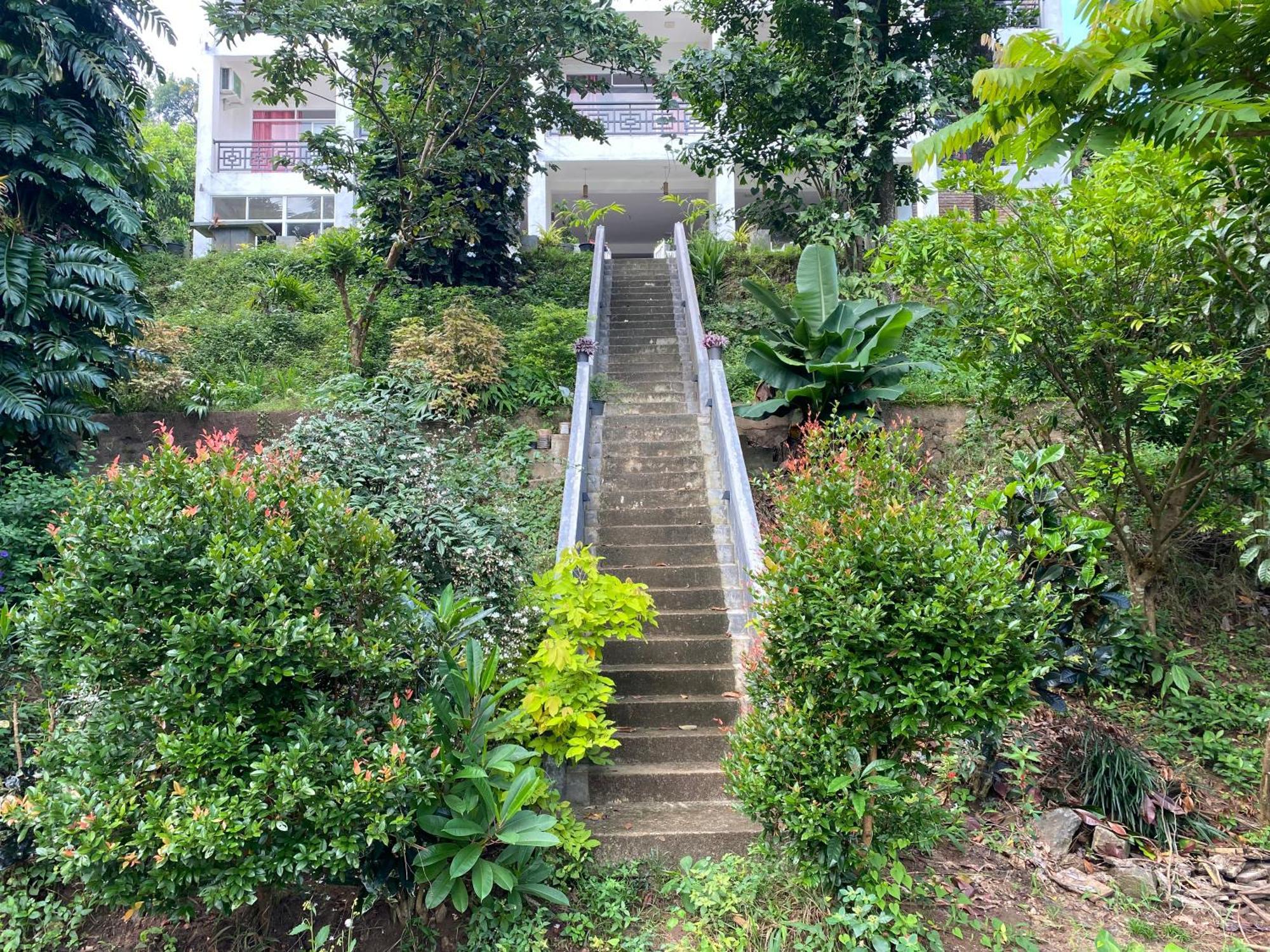 Kandy Rivers Edge Nature Resort Kültér fotó