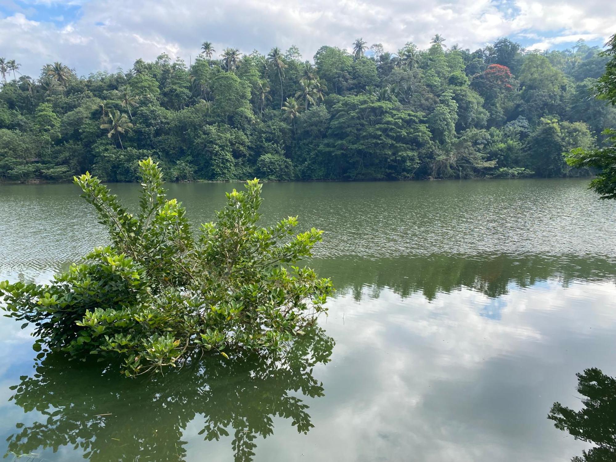 Kandy Rivers Edge Nature Resort Kültér fotó