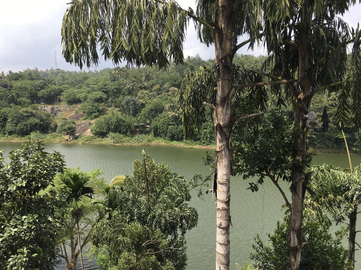 Kandy Rivers Edge Nature Resort Kültér fotó